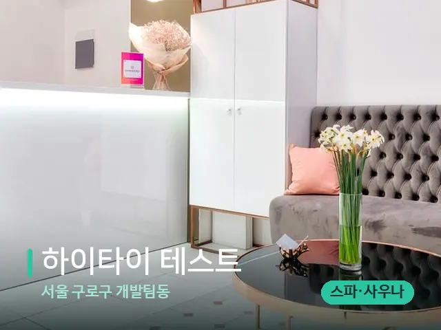 서울 구로구 개발팀동 하이타이 테스트 — 데이 스파 인테리어